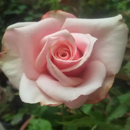 Bed & Breakfast Monte Donato 3*