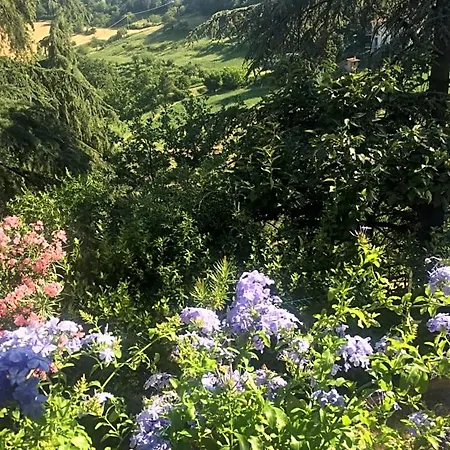 Monte Donato 3* بولونيا