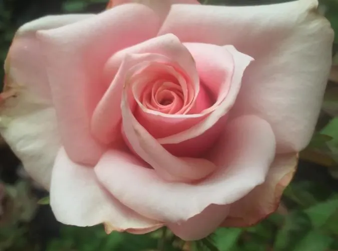 Frühstückspension Monte Donato 3*